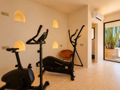 Espacio fitness equipado con bicicleta estática y elíptica, destacando nichos de pared iluminados y vistas a un jardín de cactus y montañas.