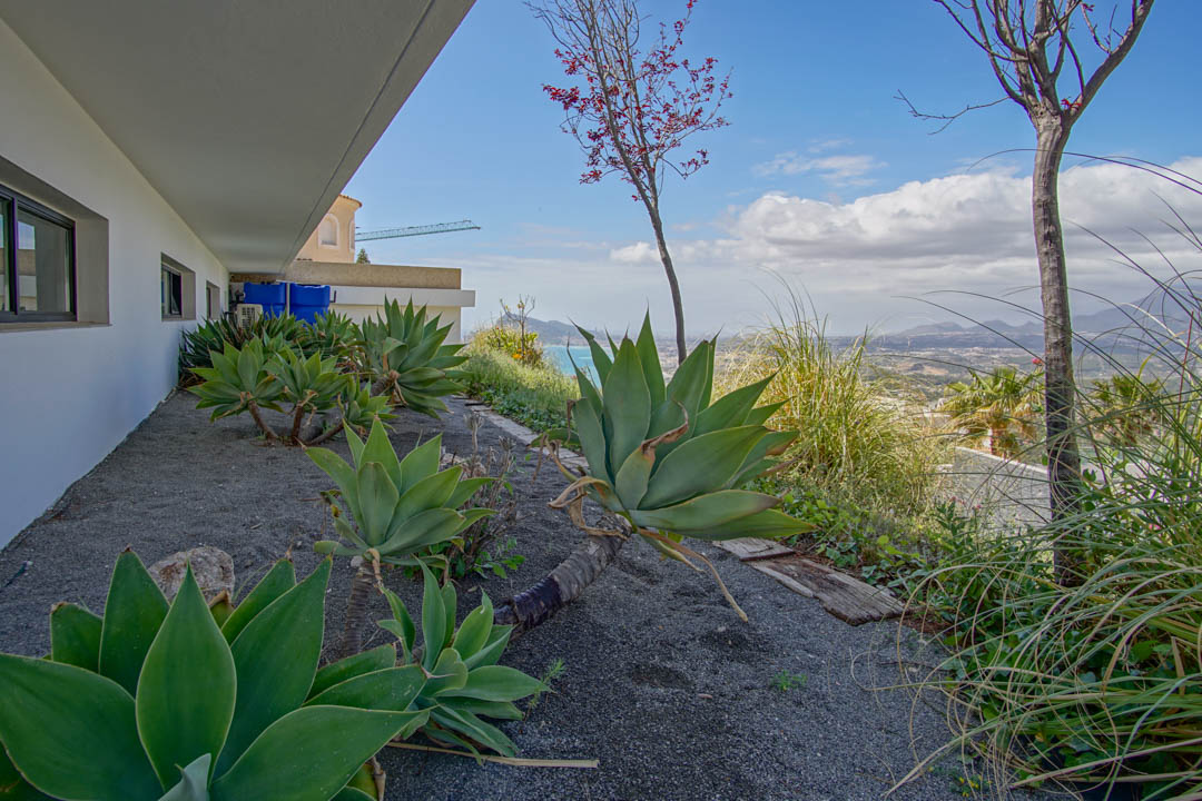 El jardín lateral presenta grandes agaves sobre grava oscura, bordeando una fachada blanca con ventanas de marco oscuro. Ofrece vistas panorámicas al mar y montañas lejanas.