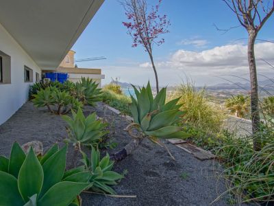 El jardín lateral presenta grandes agaves sobre grava oscura, bordeando una fachada blanca con ventanas de marco oscuro. Ofrece vistas panorámicas al mar y montañas lejanas.