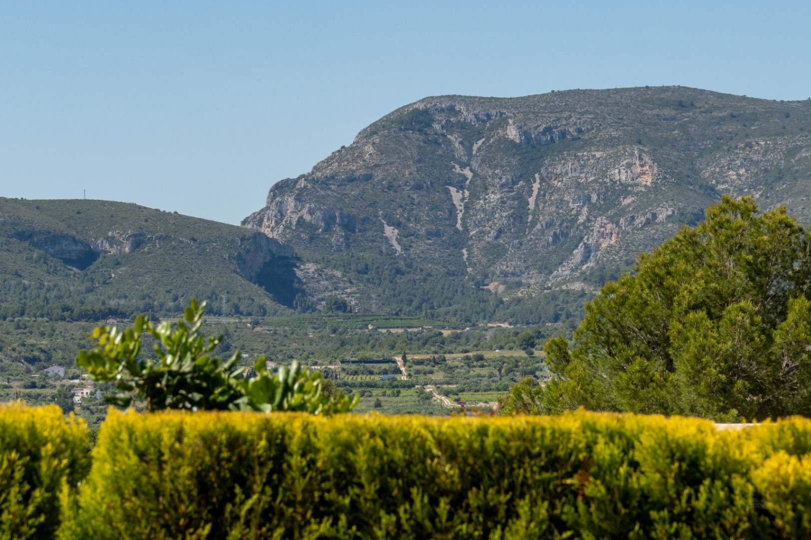 Vistas panorámicas a la sierra del Montgó y al exuberante valle, enmarcadas por la vibrante vegetación mediterránea bajo un cielo azul despejado.