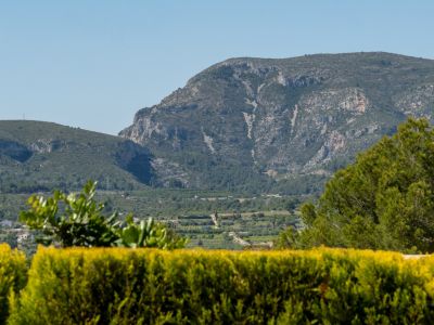 Vistas panorámicas a la sierra del Montgó y al exuberante valle, enmarcadas por la vibrante vegetación mediterránea bajo un cielo azul despejado.