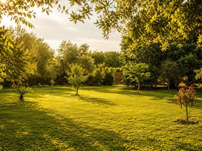 Amplio césped cuidado bajo la luz dorada del atardecer, con una variedad de árboles maduros y jóvenes. Largas sombras se proyectan sobre la hierba vibrante.