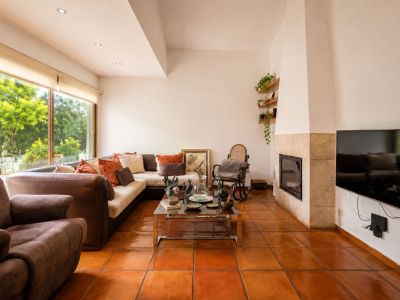 Luminoso salón con suelos de barro artesanal, chimenea revestida de piedra y amplios ventanales con vistas a la vegetación exterior.