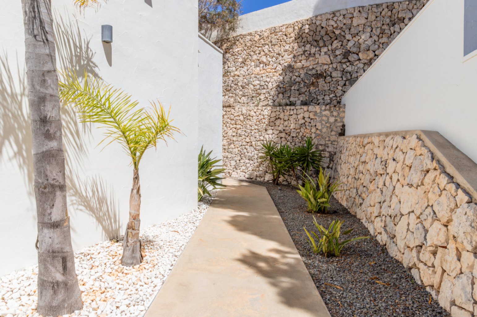 Sendero exterior flanqueado por muros blancos y paredes de piedra natural. Jardín de bajo mantenimiento con palmeras jóvenes y gravilla decorativa. Sendero exterior flanqueado por muros blancos y paredes de piedra natural. Jardín de bajo mantenimiento con palmeras jóvenes y gravilla decorativa.