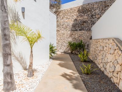 Sendero exterior flanqueado por muros blancos y paredes de piedra natural. Jardín de bajo mantenimiento con palmeras jóvenes y gravilla decorativa.