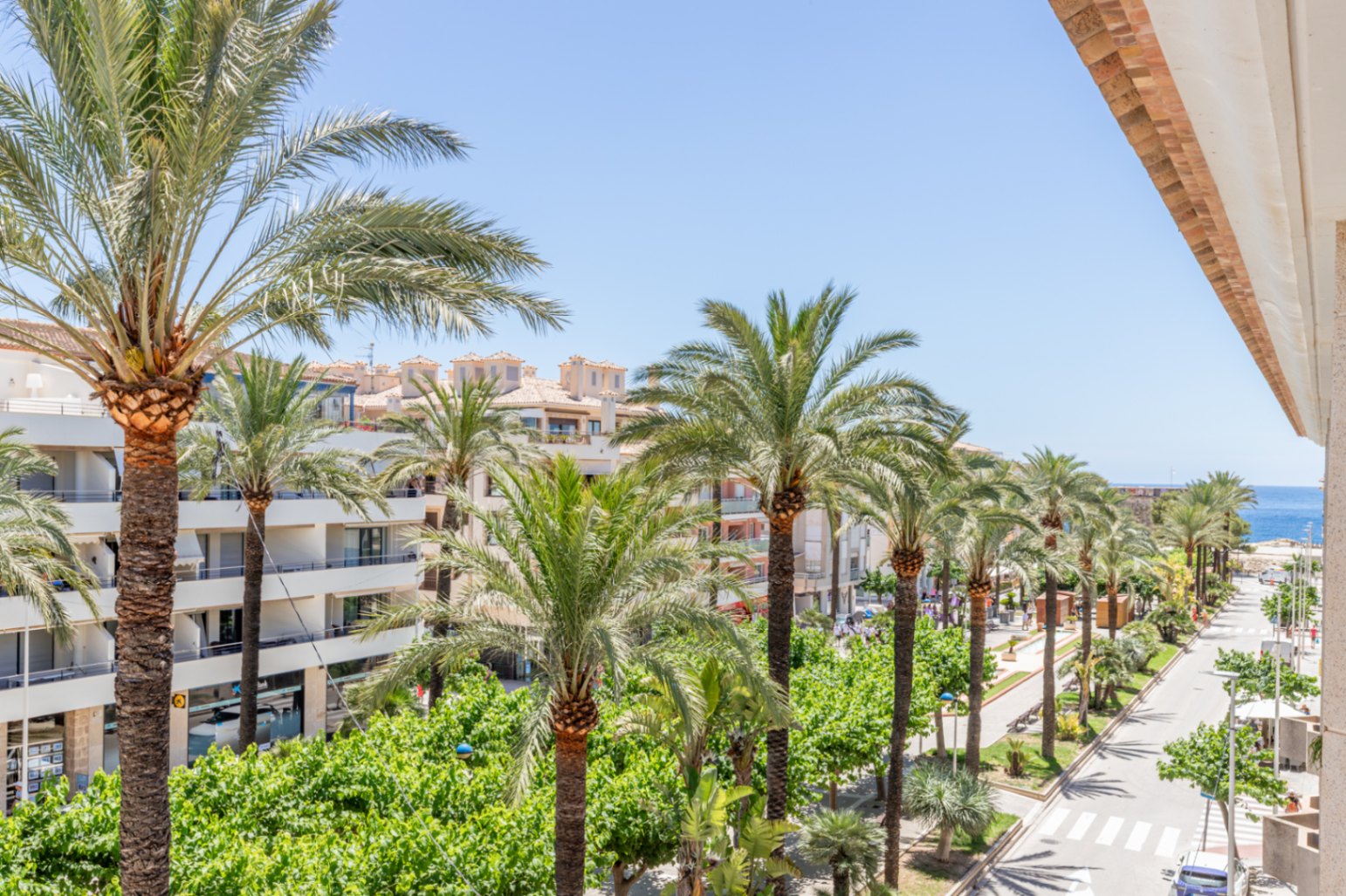 Vista desde la terraza a la Avenida de la Paz, bordeada de palmeras, con el mar Mediterráneo visible al fondo y edificios residenciales bajo un cielo azul. Vista desde la terraza a la Avenida de la Paz, bordeada de palmeras, con el mar Mediterráneo visible al fondo y edificios residenciales bajo un cielo azul.