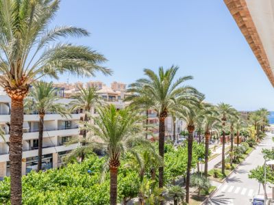 Vista desde la terraza a la Avenida de la Paz, bordeada de palmeras, con el mar Mediterráneo visible al fondo y edificios residenciales bajo un cielo azul.