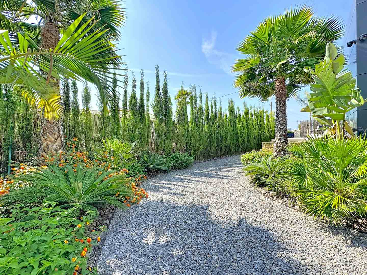 Sendero de grava serpenteante rodeado de exuberante vegetación tropical, palmeras y setos altos, que conduce a la moderna fachada de la villa.