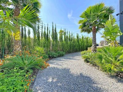 Sendero de grava serpenteante rodeado de exuberante vegetación tropical, palmeras y setos altos, que conduce a la moderna fachada de la villa.