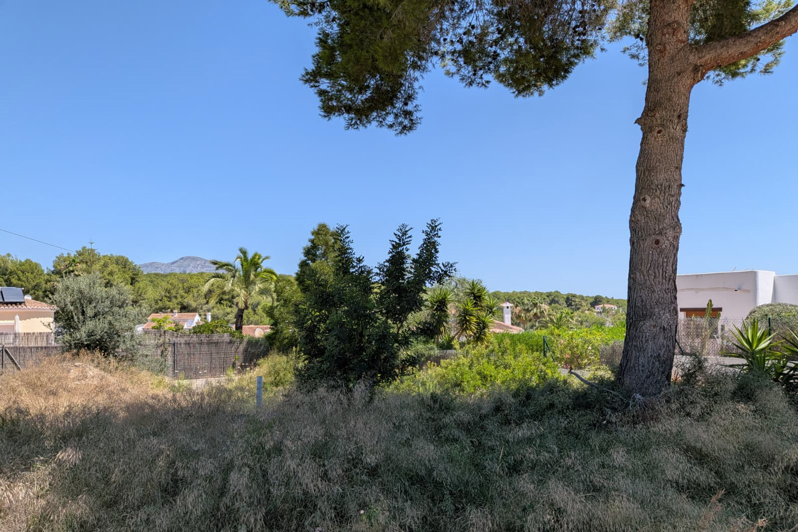 Parcela sin urbanizar con hierba seca y un tronco de árbol prominente. Se aprecian vegetación mediterránea, tejados residenciales lejanos, una sierra montañosa y cielo azul claro.