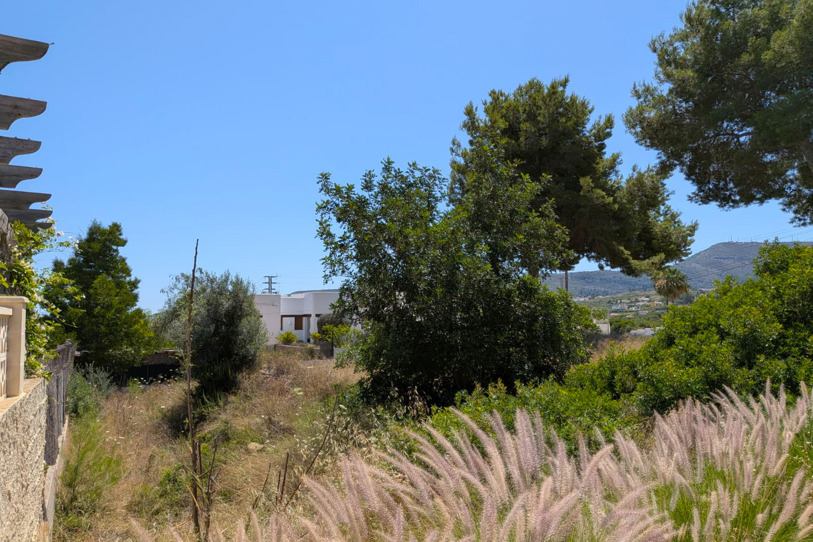 Vista de la parcela sin desarrollar con vegetación mediterránea natural, destacando las hierbas plumosas en primer plano y una residencia blanca distante bajo un cielo azul y montañas.