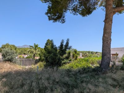 Parcela sin urbanizar con hierba seca y un tronco de árbol prominente. Se aprecian vegetación mediterránea, tejados residenciales lejanos, una sierra montañosa y cielo azul claro.