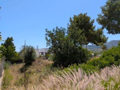 Vista de la parcela sin desarrollar con vegetación mediterránea natural, destacando las hierbas plumosas en primer plano y una residencia blanca distante bajo un cielo azul y montañas.