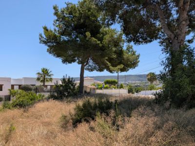 Vista de la vegetación natural de la parcela, con hierba seca y pinos maduros bajo un cielo azul claro. Edificios residenciales y colinas distantes son visibles al fondo.