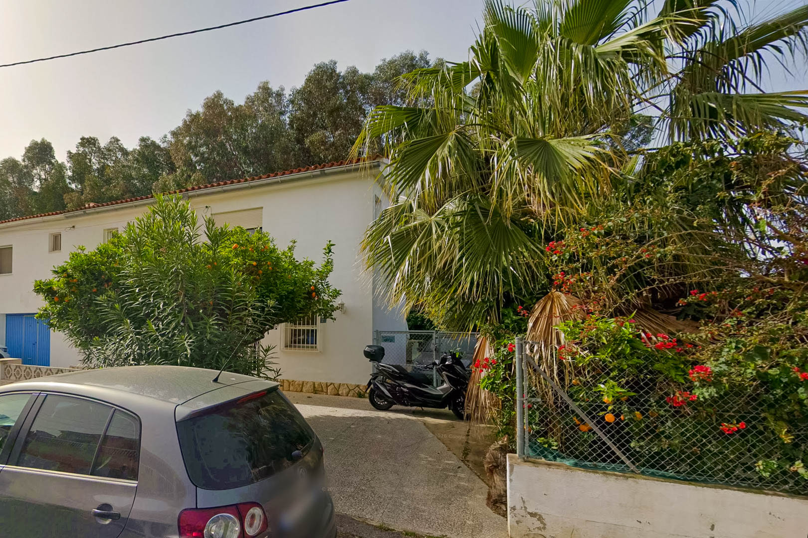 Vista exterior de la villa con entrada pavimentada, destacando un naranjo cargado de frutos, una palmera y exuberante vegetación mediterránea.