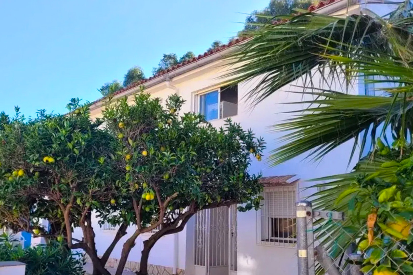 Vista exterior de la villa, mostrando su fachada blanca y tejado de tejas rojas. Destacan los árboles frutales con cítricos amarillos y una ventana superior abierta, bajo un cielo azul claro.