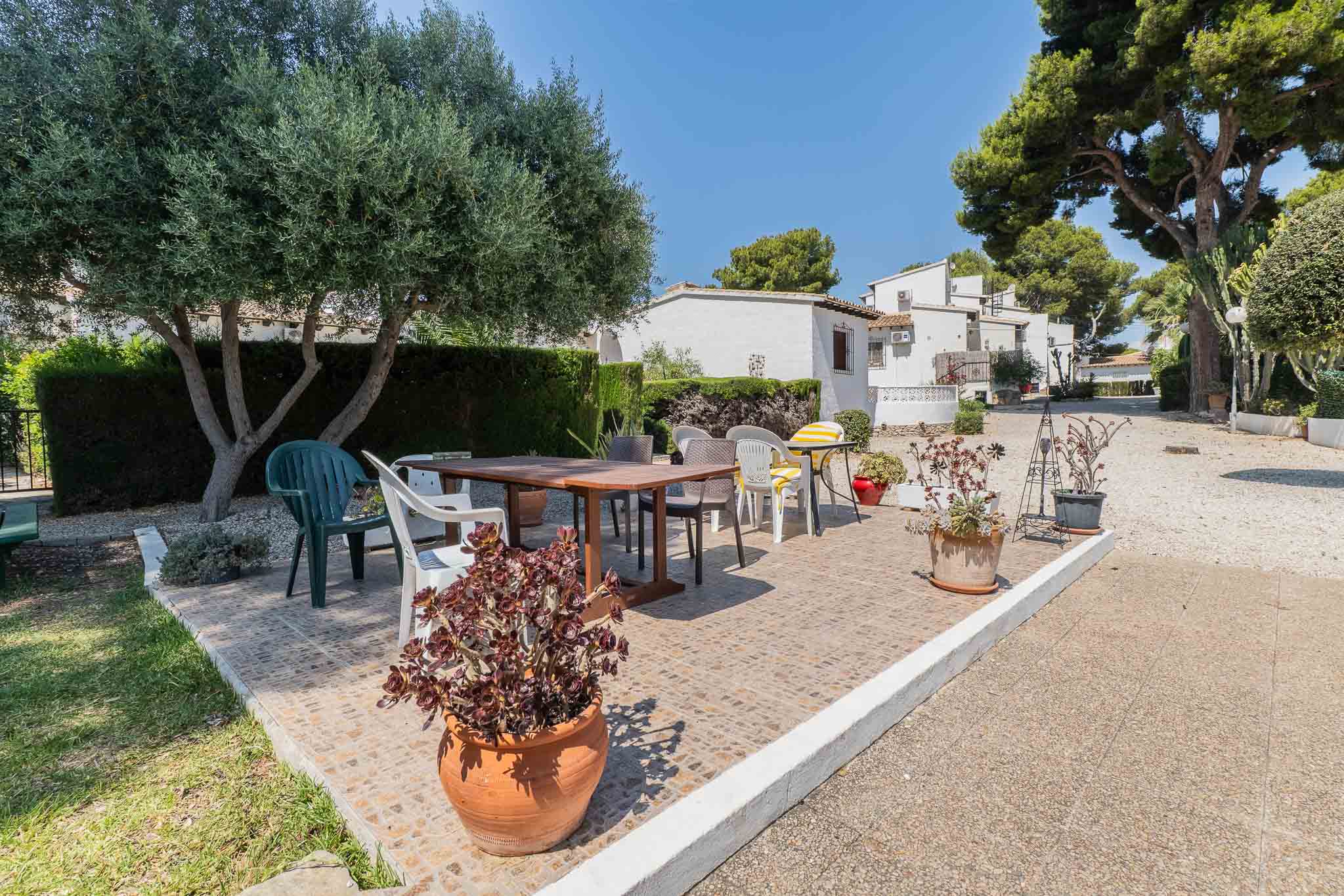 Soleado patio alicatado con mesa de comedor de madera y sillas variadas, flanqueado por un olivo y macetas. Edificios residenciales blancos se aprecian al fondo bajo un cielo despejado.