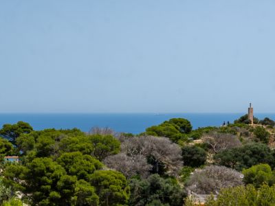 Vista panorámica al mar Mediterráneo en Jávea, enmarcada por densa vegetación, con una torre en la colina y un barco en el horizonte.