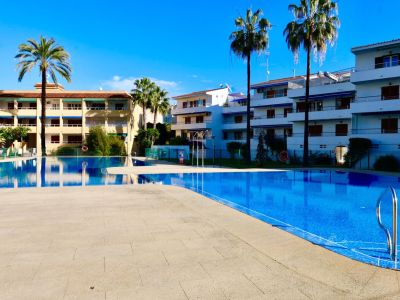 Amplia piscina comunitaria con azulejos azules, rodeada de un solárium de baldosas claras y palmeras. Edificios residenciales con balcones y toldos azules al fondo bajo un cielo despejado.