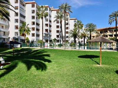 Amplia zona ajardinada comunitaria con césped verde, palmeras y sombrillas de paja. Al fondo, edificios residenciales con balcones y una piscina vallada.