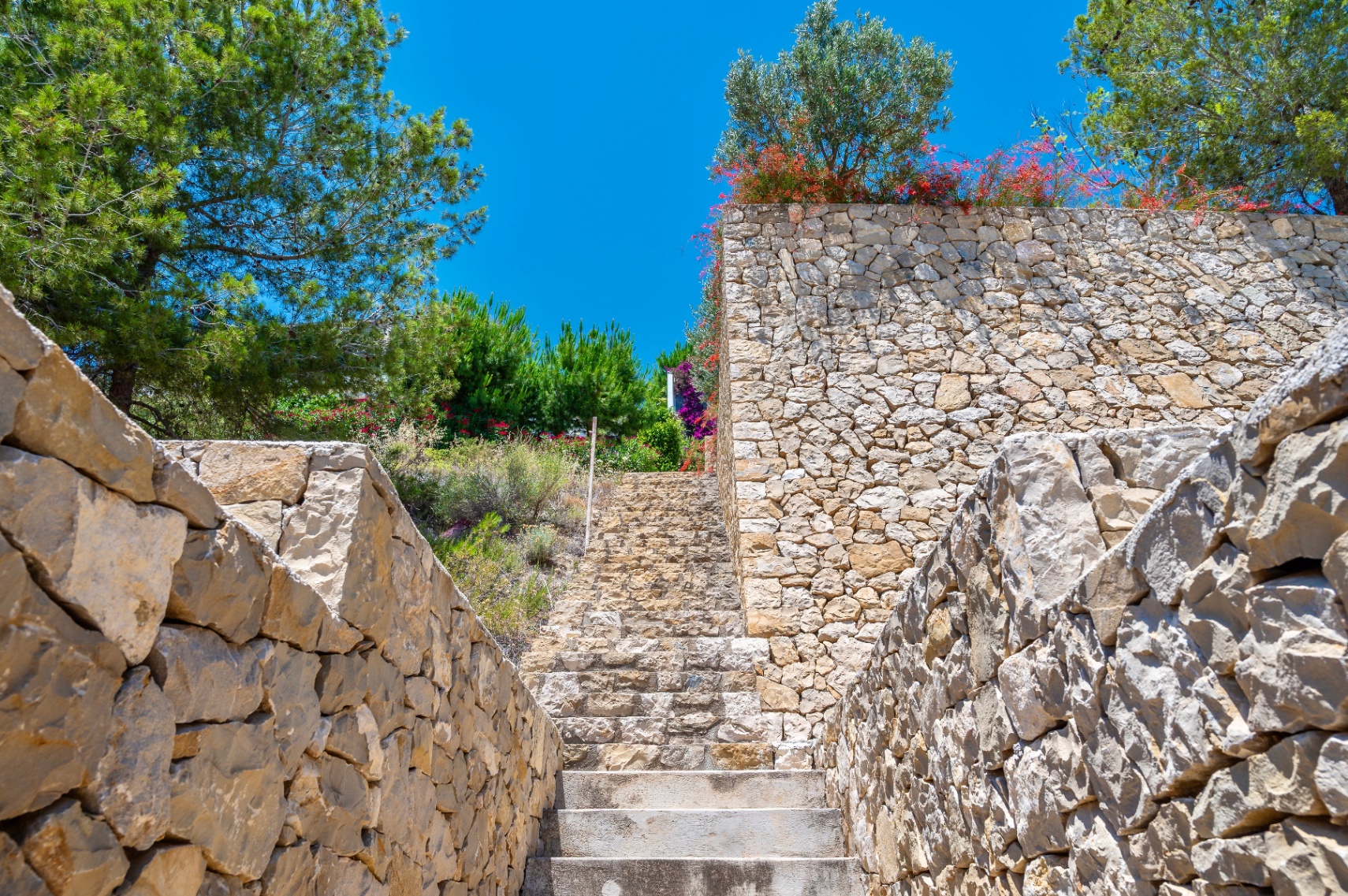 Escalera exterior de piedra natural flanqueada por muros de mampostería seca, ascendiendo entre exuberante vegetación mediterránea bajo un cielo azul claro. Escalera exterior de piedra natural flanqueada por muros de mampostería seca, ascendiendo entre exuberante vegetación mediterránea bajo un cielo azul claro.