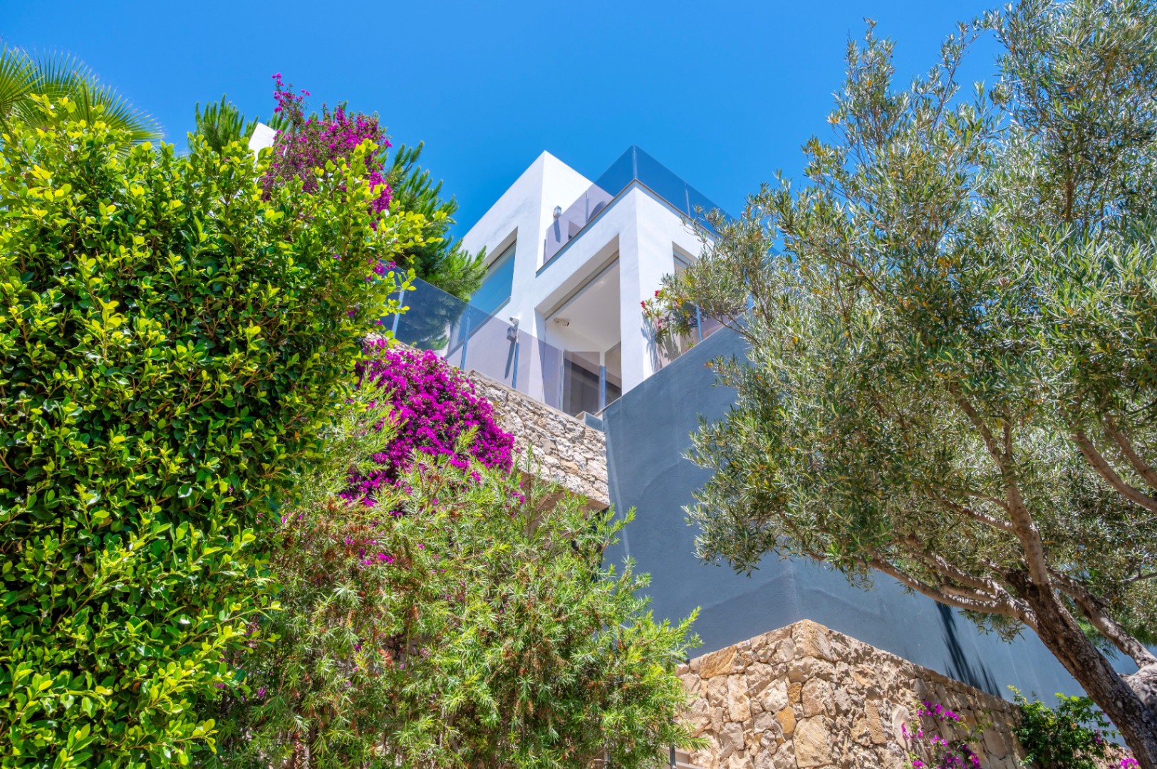 Exterior de villa moderna con fachadas blancas y grises, y barandillas de cristal en terrazas elevadas. El exuberante paisajismo mediterráneo, con buganvillas y un olivo, se integra con el muro de piedra. Exterior de villa moderna con fachadas blancas y grises, y barandillas de cristal en terrazas elevadas. El exuberante paisajismo mediterráneo, con buganvillas y un olivo, se integra con el muro de piedra.