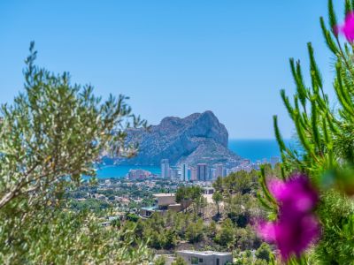 Vista panorámica del Peñón de Ifach y la costa de Calpe, enmarcada por vegetación mediterránea y con villas modernas en la ladera.