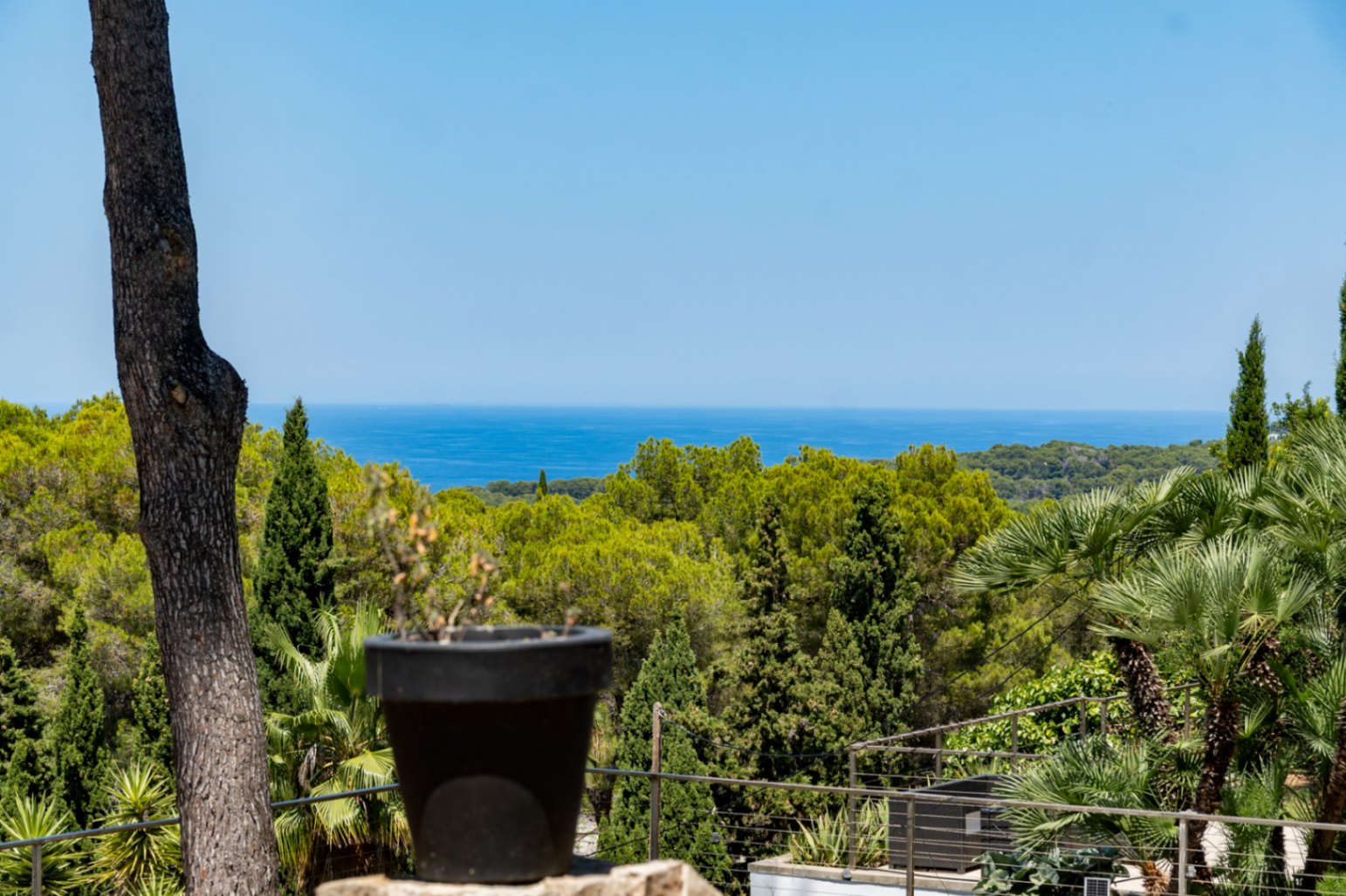 Vista panorámica al mar Mediterráneo desde la terraza, con un tronco de árbol y maceta en primer plano, rodeada de exuberante vegetación.