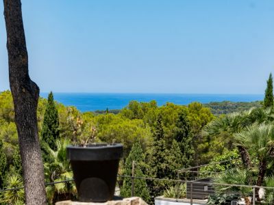 Vista panorámica al mar Mediterráneo desde la terraza, con un tronco de árbol y maceta en primer plano, rodeada de exuberante vegetación.