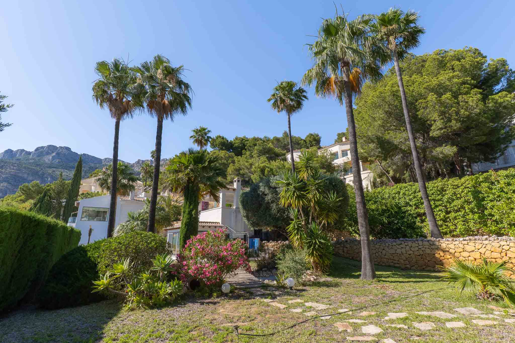 El jardín llano y paisajístico de la propiedad cuenta con un sendero de piedra, palmeras maduras, buganvillas vibrantes y agaves, con un telón de fondo de colinas verdes y montañas lejanas. El jardín llano y paisajístico de la propiedad cuenta con un sendero de piedra, palmeras maduras, buganvillas vibrantes y agaves, con un telón de fondo de colinas verdes y montañas lejanas.