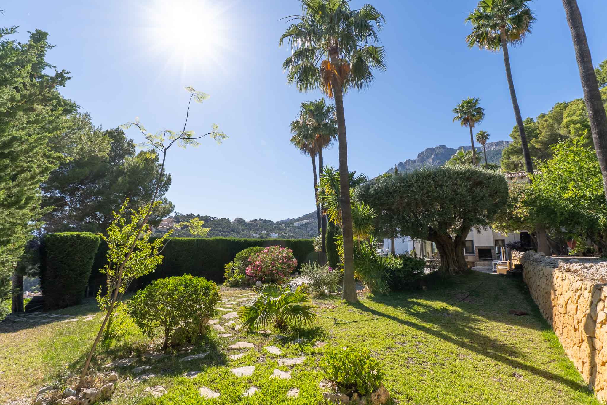 Jardín mediterráneo cuidado con césped verde, sendero de losas y palmeras altas bajo el sol. Un muro de piedra delimita la exuberante vegetación. Jardín mediterráneo cuidado con césped verde, sendero de losas y palmeras altas bajo el sol. Un muro de piedra delimita la exuberante vegetación.