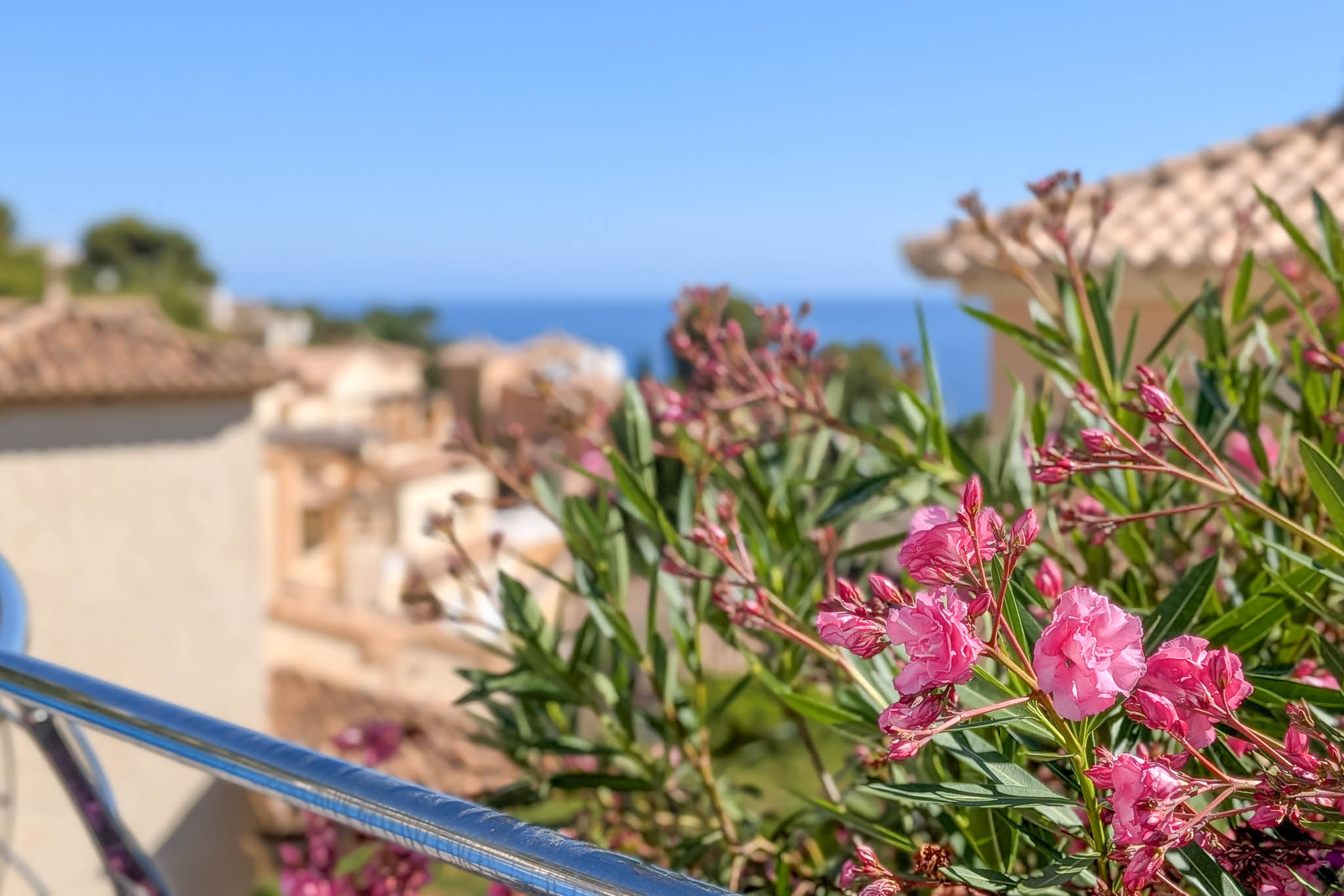 Primer plano de vibrantes adelfas rosas y barandilla metálica, con tejados mediterráneos y el mar azul de Altea Hills en el fondo soleado. Primer plano de vibrantes adelfas rosas y barandilla metálica, con tejados mediterráneos y el mar azul de Altea Hills en el fondo soleado.