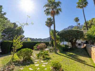 Jardín mediterráneo cuidado con césped verde, sendero de losas y palmeras altas bajo el sol. Un muro de piedra delimita la exuberante vegetación.
