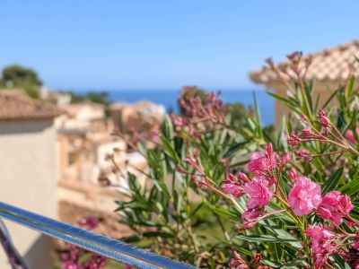 Primer plano de vibrantes adelfas rosas y barandilla metálica, con tejados mediterráneos y el mar azul de Altea Hills en el fondo soleado.
