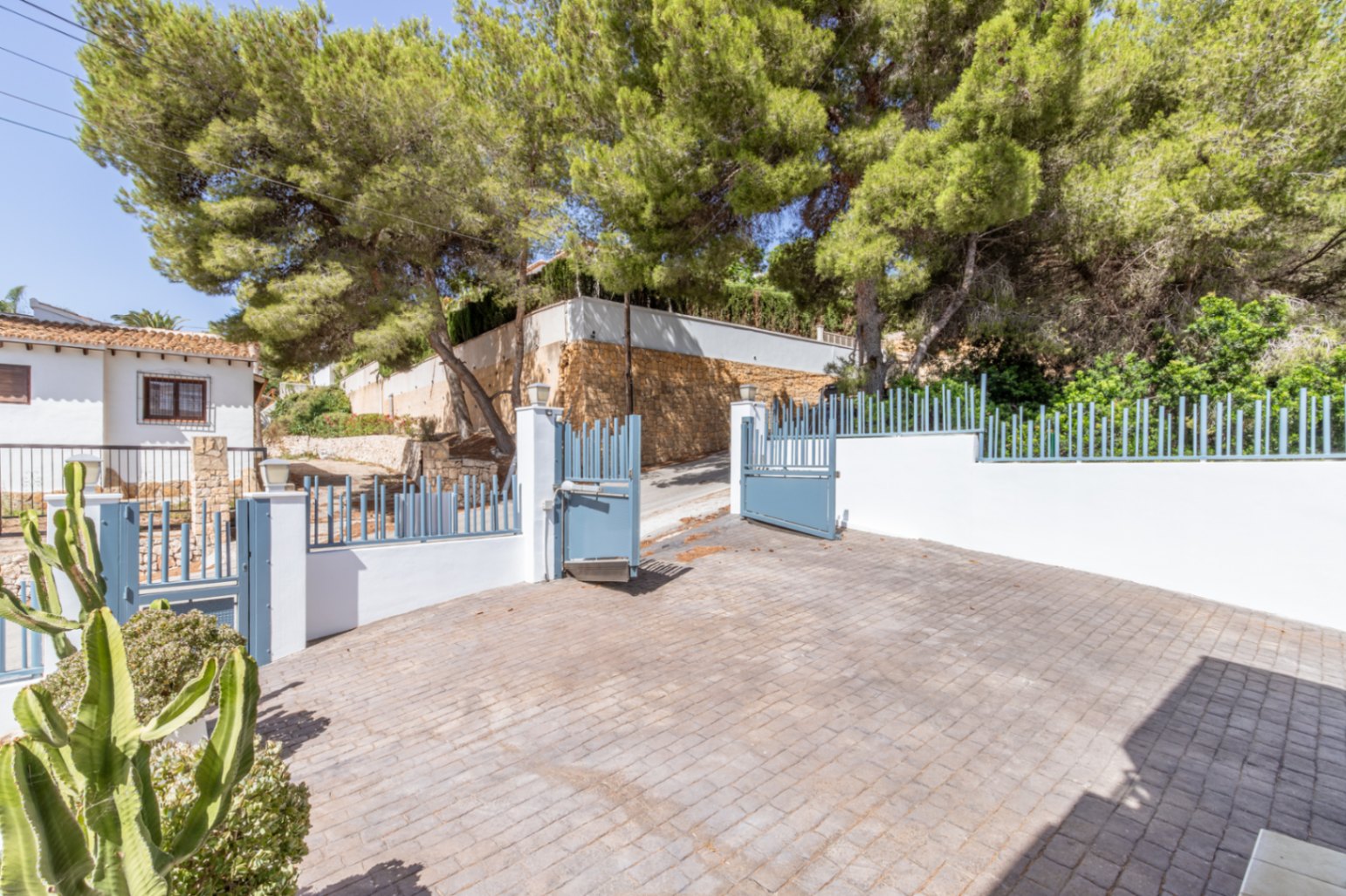 Entrada pavimentada con puertas azules abiertas y muros blancos, destacando un gran cactus y pinos maduros que ofrecen sombra natural. Entrada pavimentada con puertas azules abiertas y muros blancos, destacando un gran cactus y pinos maduros que ofrecen sombra natural.