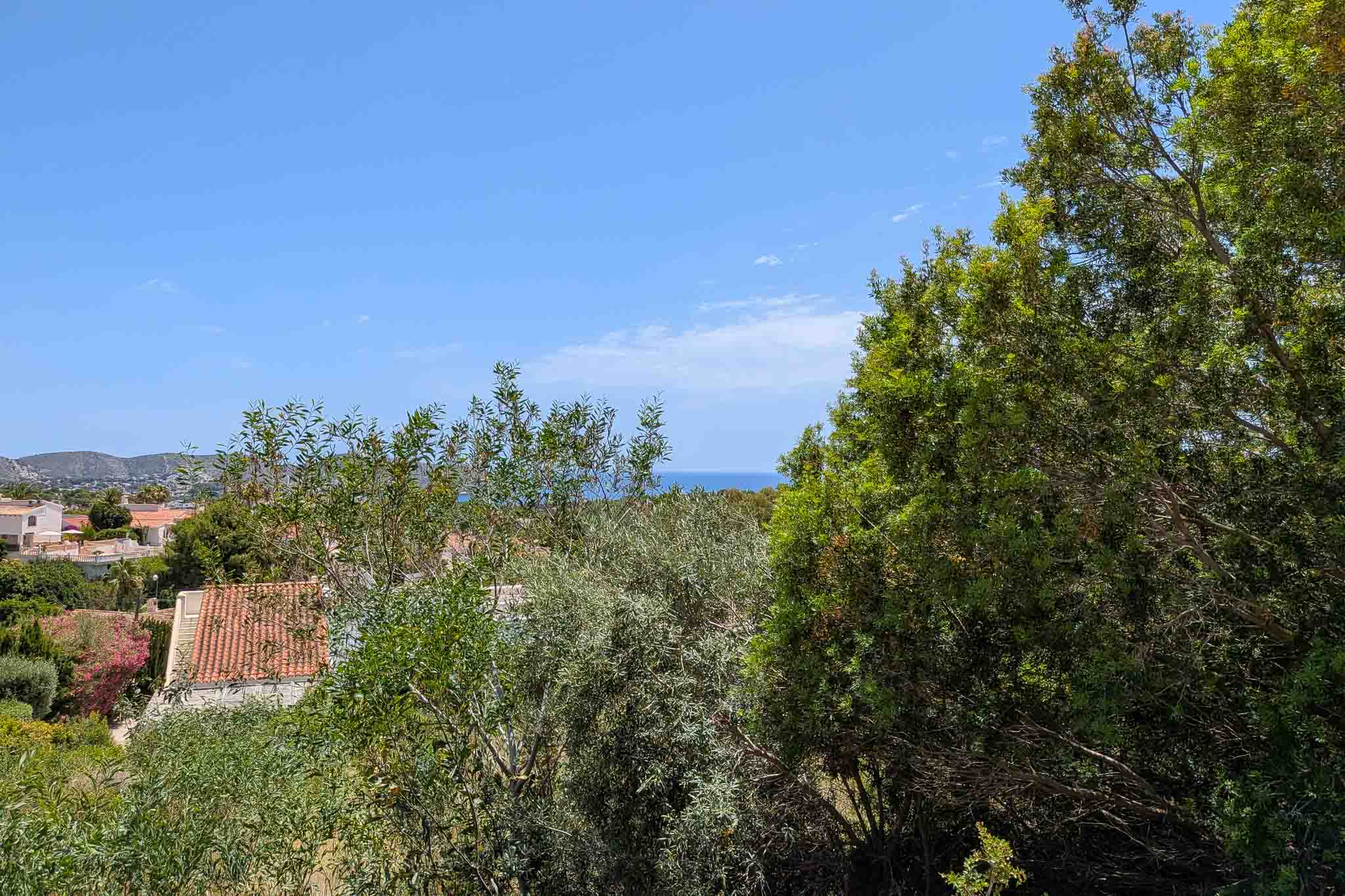 Vista panorámica desde la parcela, con exuberante vegetación mediterránea en primer plano, tejados residenciales y el mar Mediterráneo en el horizonte bajo un cielo azul despejado.
