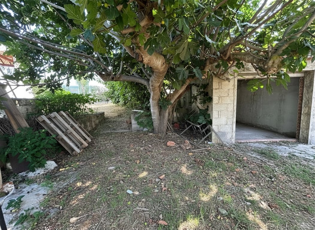 Jardín trasero con una higuera frondosa y un garaje anexo de bloques de hormigón con entrada abierta, mostrando el potencial de reforma del espacio exterior. Jardín trasero con una higuera frondosa y un garaje anexo de bloques de hormigón con entrada abierta, mostrando el potencial de reforma del espacio exterior.