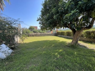Amplio jardín privado con césped irregular y un gran árbol maduro que ofrece sombra natural. Rodeado por un muro de piedra y setos, ideal para paisajismo.
