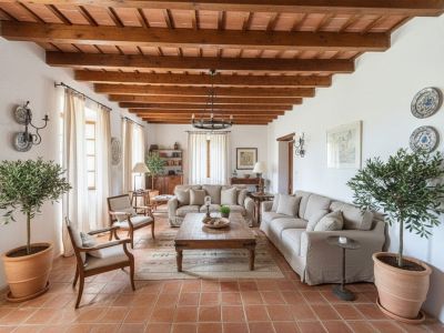 Amplio salón con techo de vigas de madera y bovedilla de terracota, suelo de baldosas rústicas y abundante luz natural. Decoración con mobiliario tradicional y olivos en maceta.