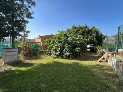 Jardín trasero con césped y vegetación madura, incluyendo un gran árbol frondoso. Se observa un muro perimetral y un edificio tradicional al fondo.
