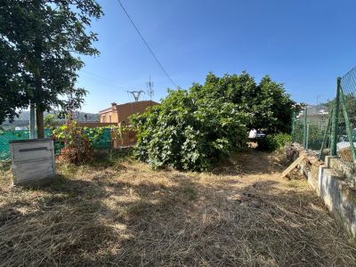 Vista del jardín privado con césped seco, un gran árbol frutal (higuera) y un muro bajo. Se observa un cuadro de servicios y una valla perimetral, con una vivienda al fondo.