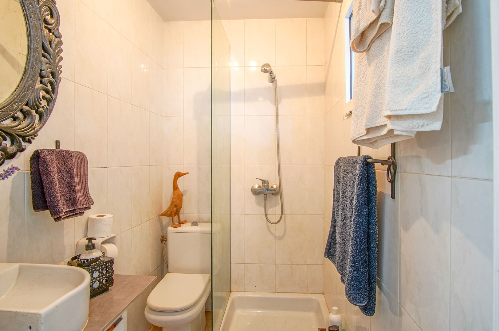 Cuarto de baño con ducha