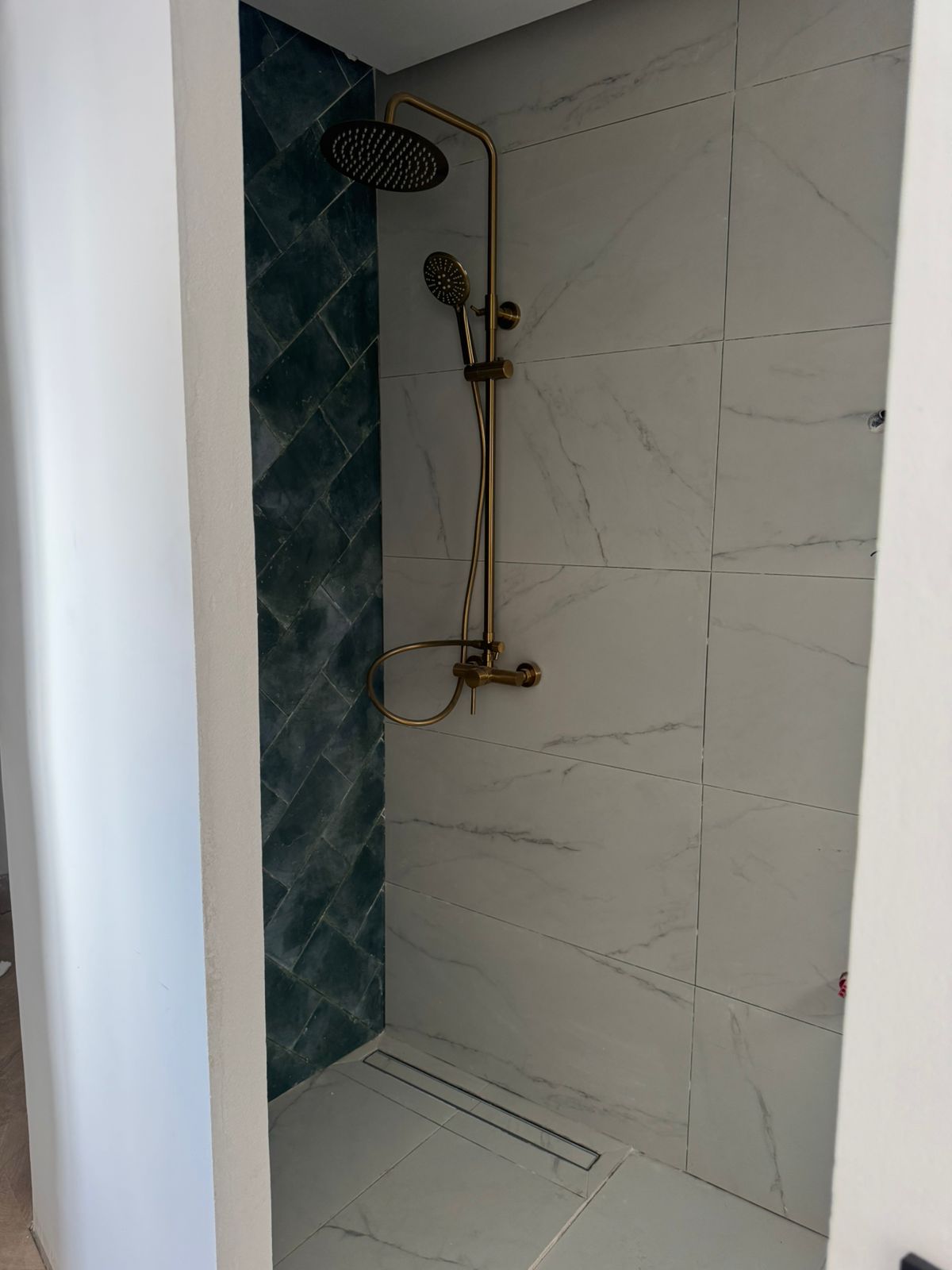 Ducha del baño