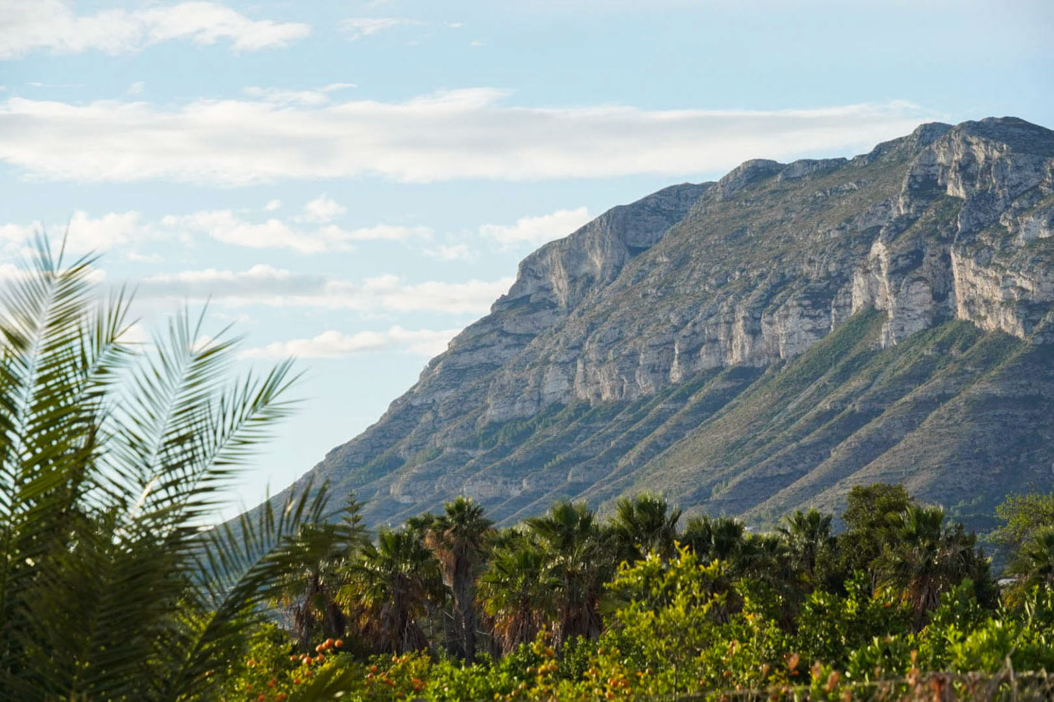 Vistas al Montgó
