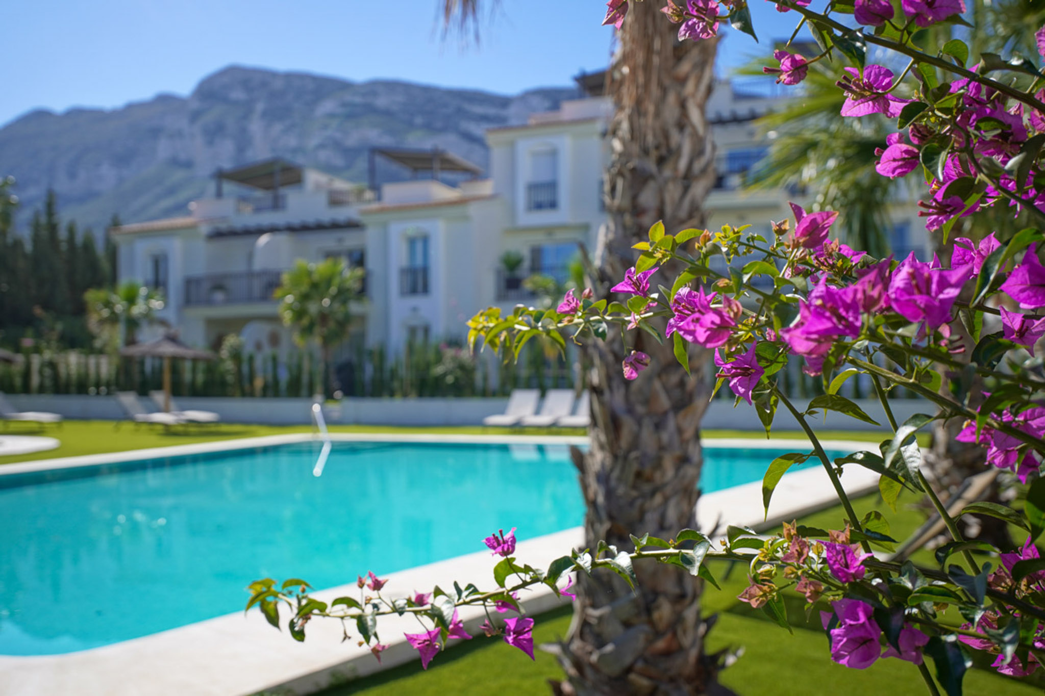Piscina comunitaria y jardines Piscina comunitaria y jardines