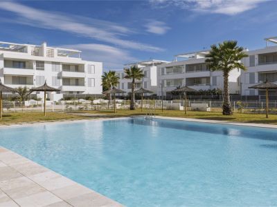 Piscina comunitaria y jardines