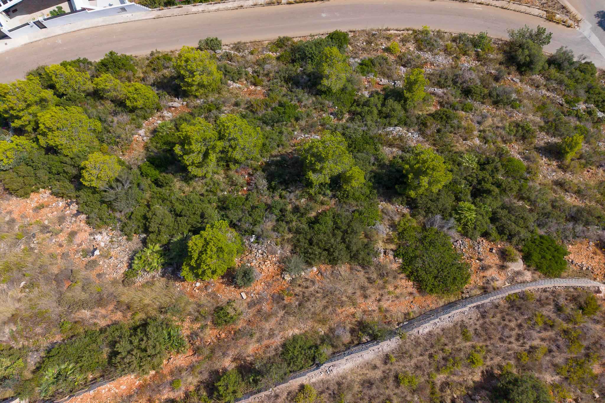 Vista aérea de la parcela Vista aérea de la parcela