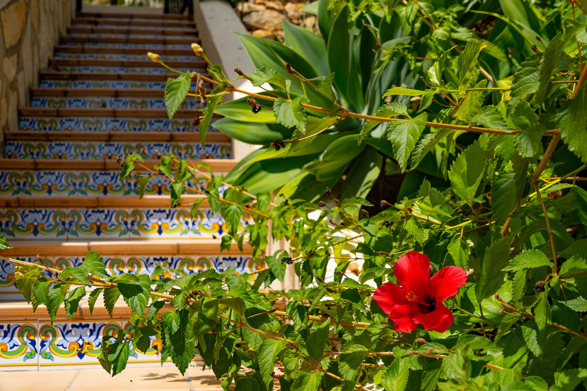 Escaleras exteriores del jardín