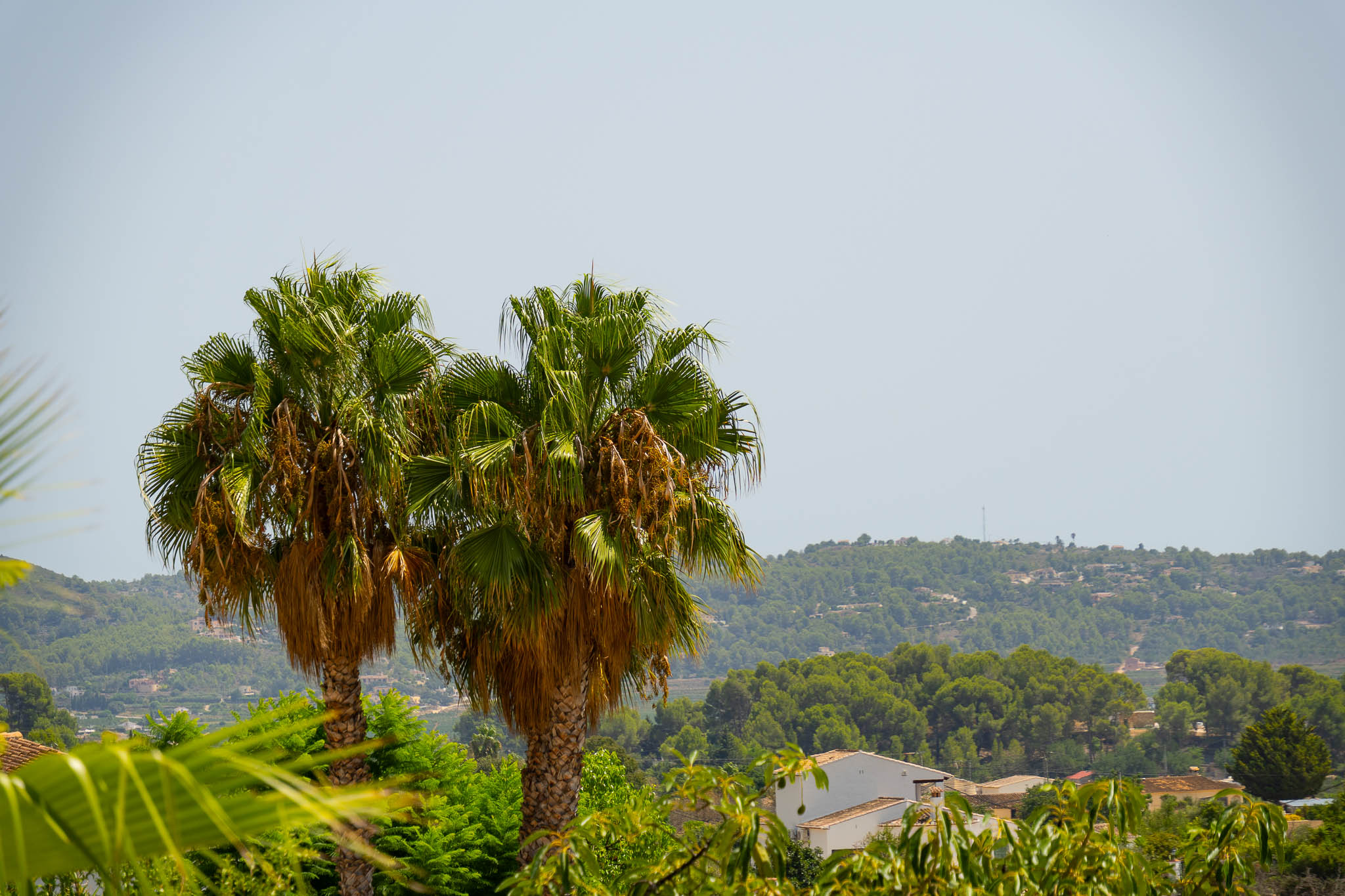 Vistas al valle y montañas