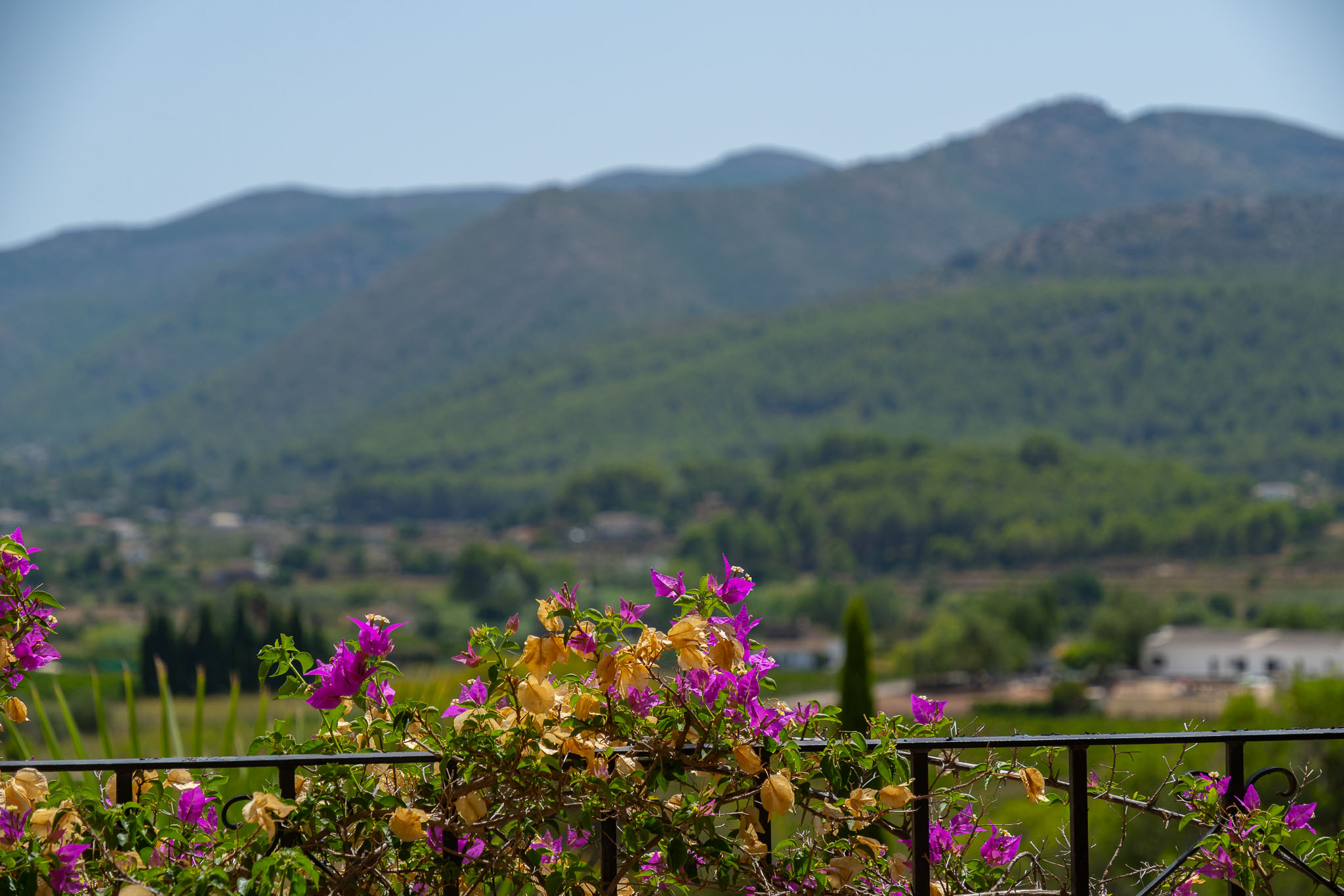 Vistas al valle y las montañas